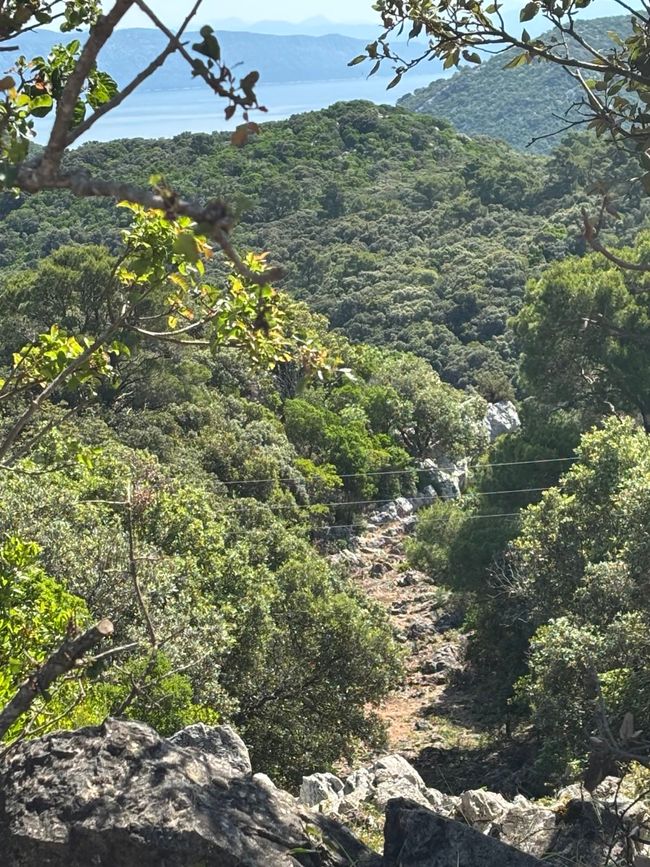Radfahren auf Mljet