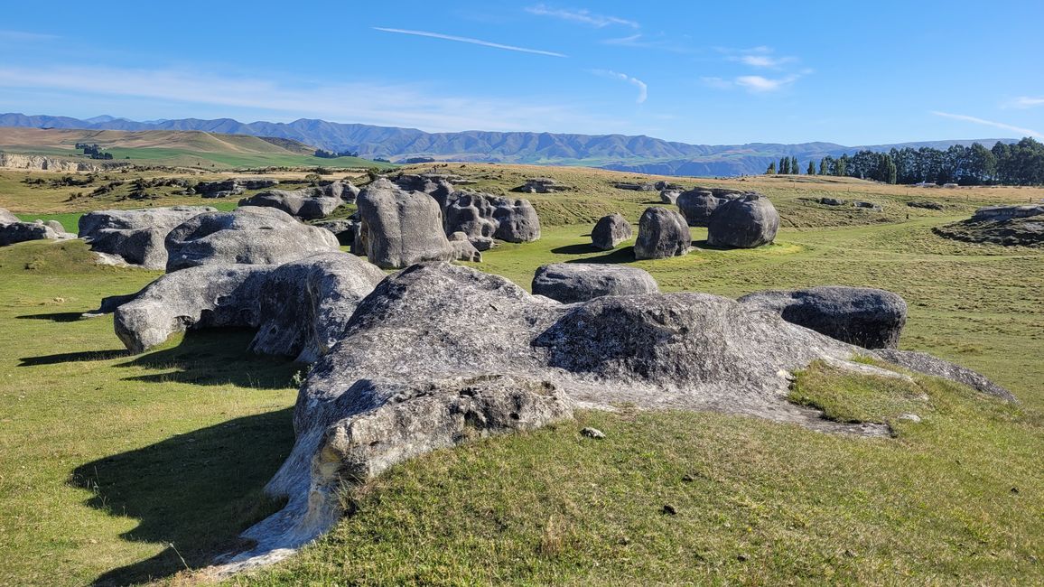 29.Januar-27.Februar 2025 Neuseeland
5.Februar