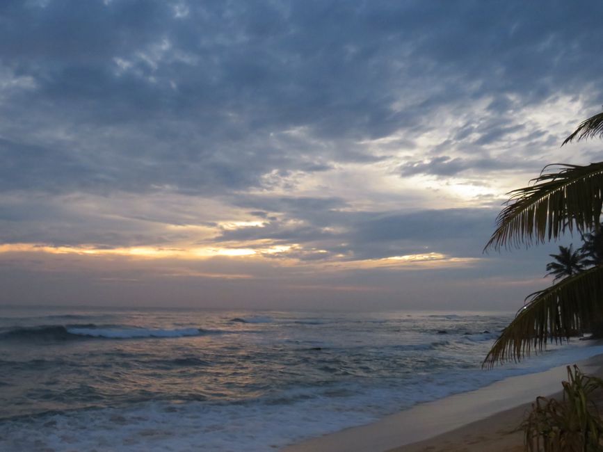 Matara - Mauvais temps, pas de baleines, mais des Salties (crocodiles d'eau salée)