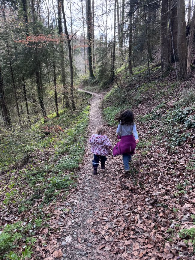 Schottisches Südamerika