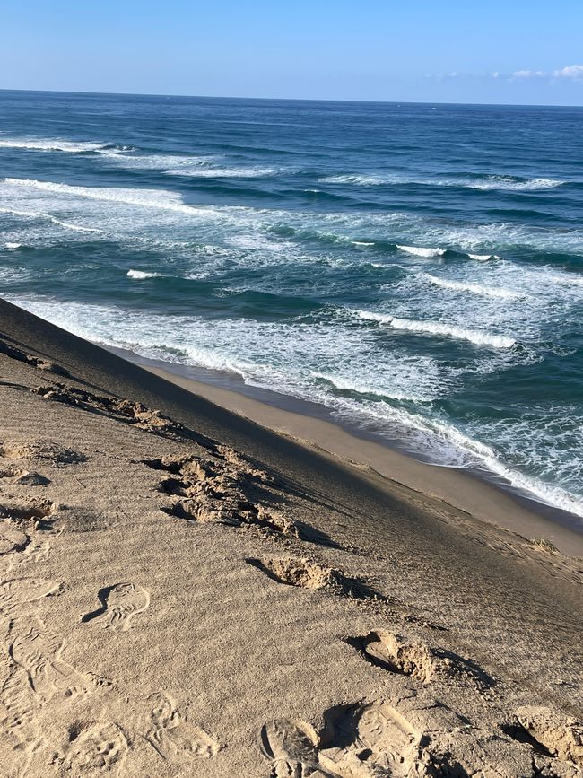 28. Kapitel: Ausflug in die japanische Wüste und ein verhinderter Kamelritt