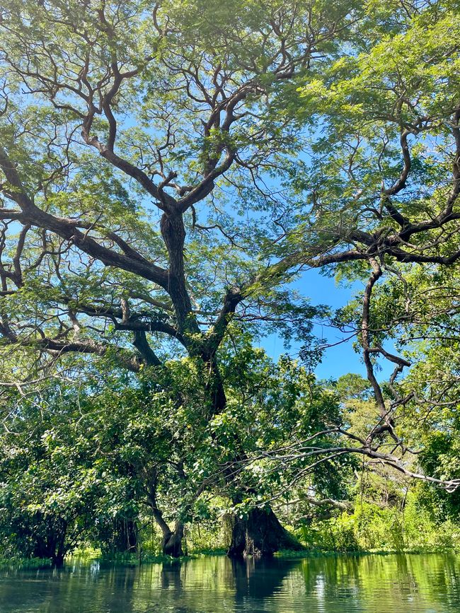 Zwischen Improvisation und Abenteuer