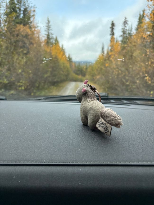 Day 5 - 🚐 Pothole Slalom, Moose Menus, and Off-Road Adventures – our day on the Canol Road