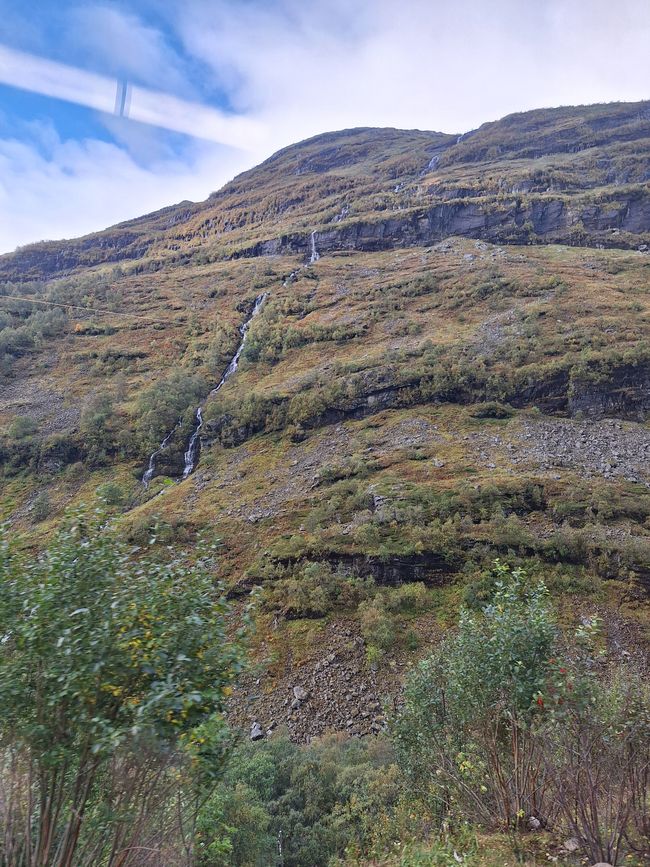 Etiqueta 7 Vossevangen - Flam
