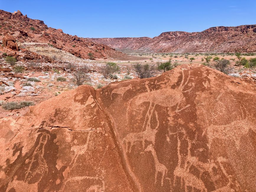 Damaraland
