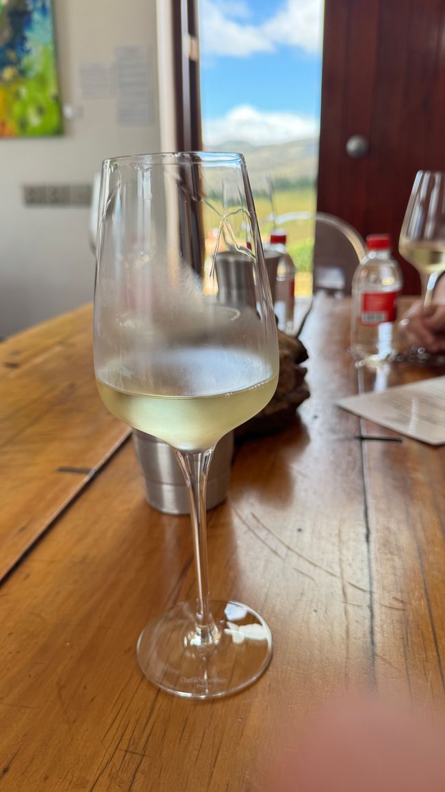 Weingut Ataraxia in Hermanus