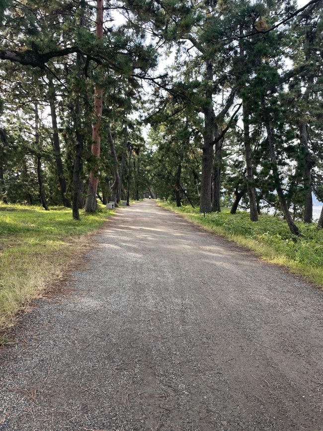 26. Kapitel: 
Frühstücksbuffet und Amanohashidate-Landzunge: Beide atemberaubend