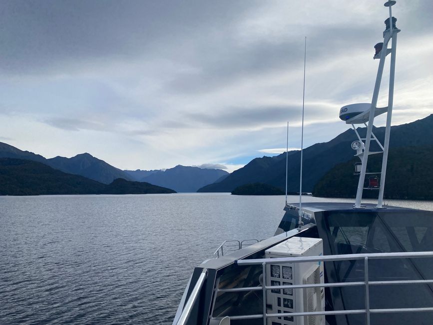 Among the glowing glowworms