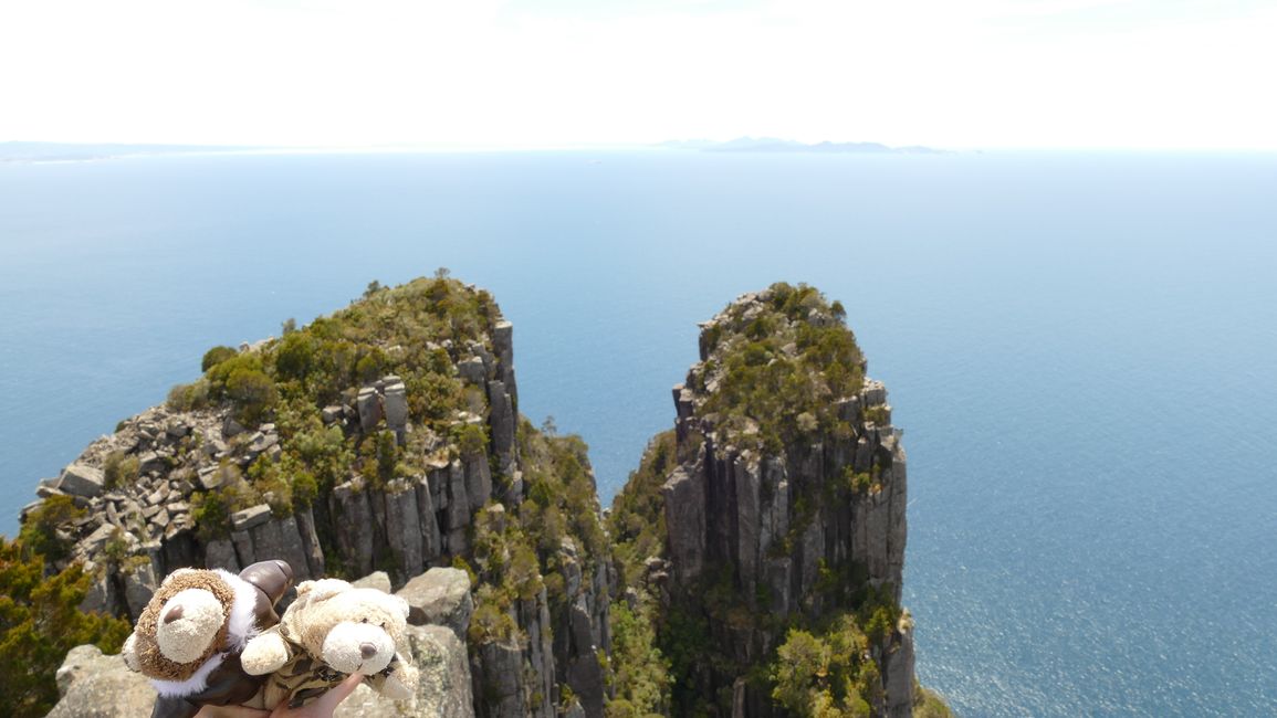 - Singapur & Tasmania 2019 -