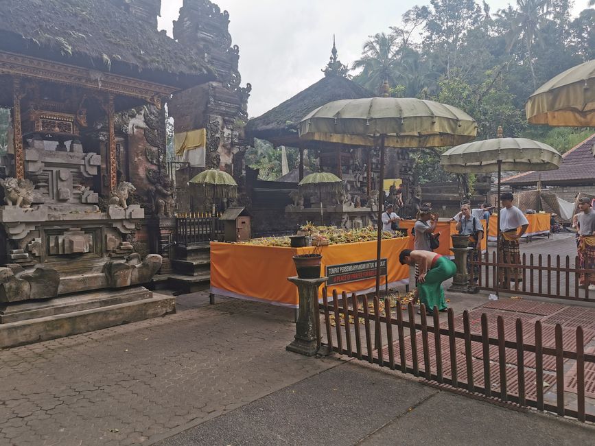 Excursión de un día a Ubud y Tegallalang