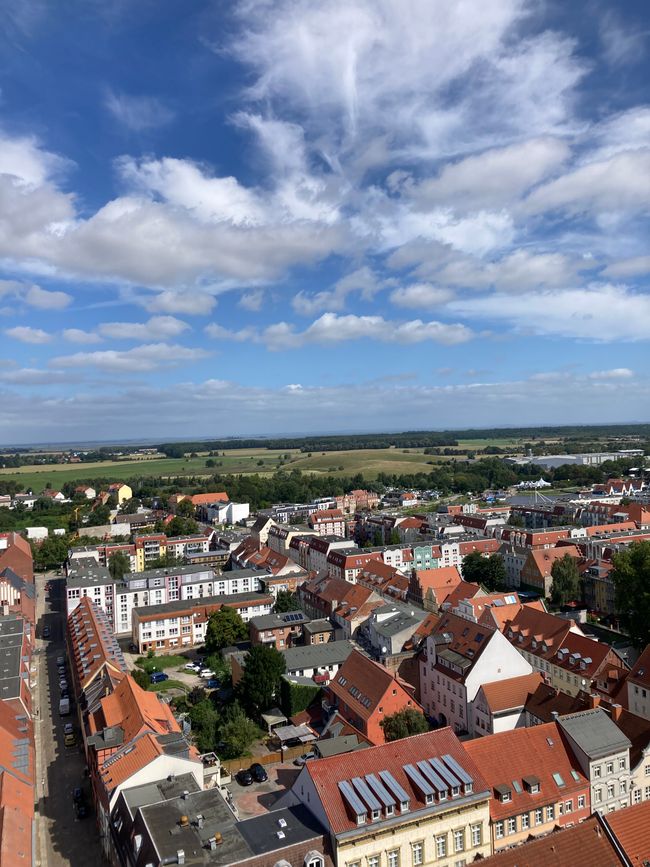 Dom St. Nicolai - 3 Meter fehlen bis 100 Meter