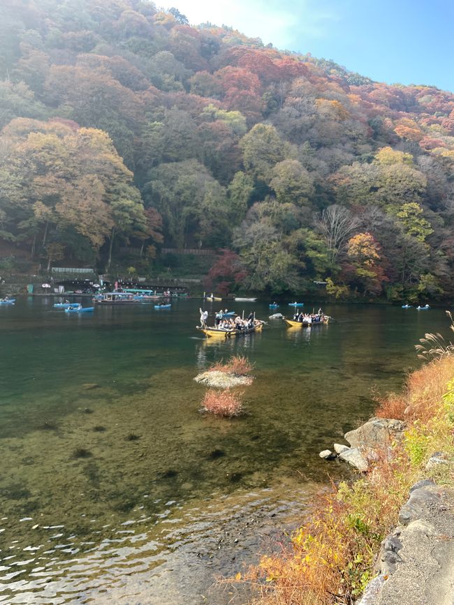 23.Kapitel: Arashiyama oder ein Tag von vorne bis hinten gelungen