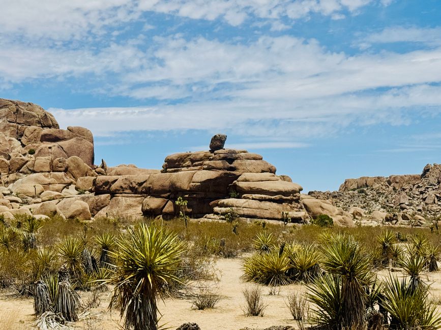 Joshua Tree National Park – Arch Rock & Skull Rock