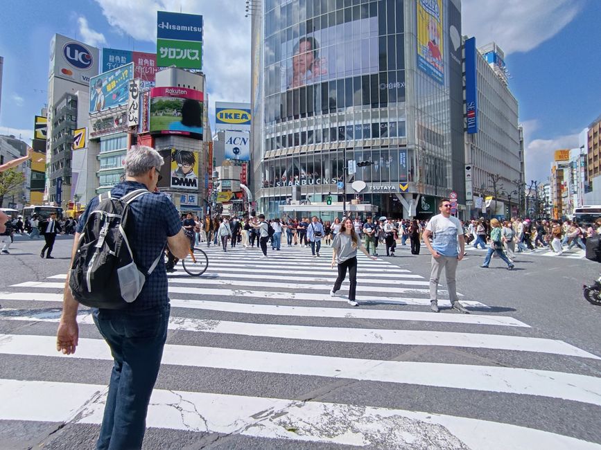 Tokyo auf eigene Faust