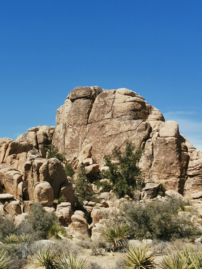 Vom Joshua Tree NP über die Route 66 nach Laughlin