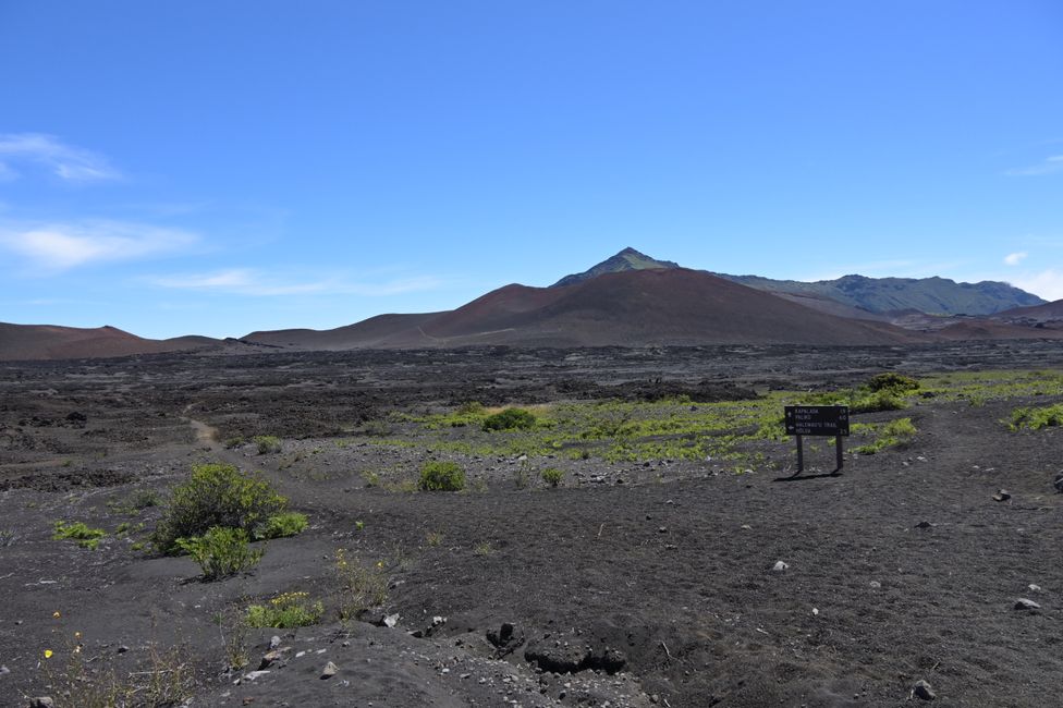 Volcan Haleakala - Randonnée dans le cratère