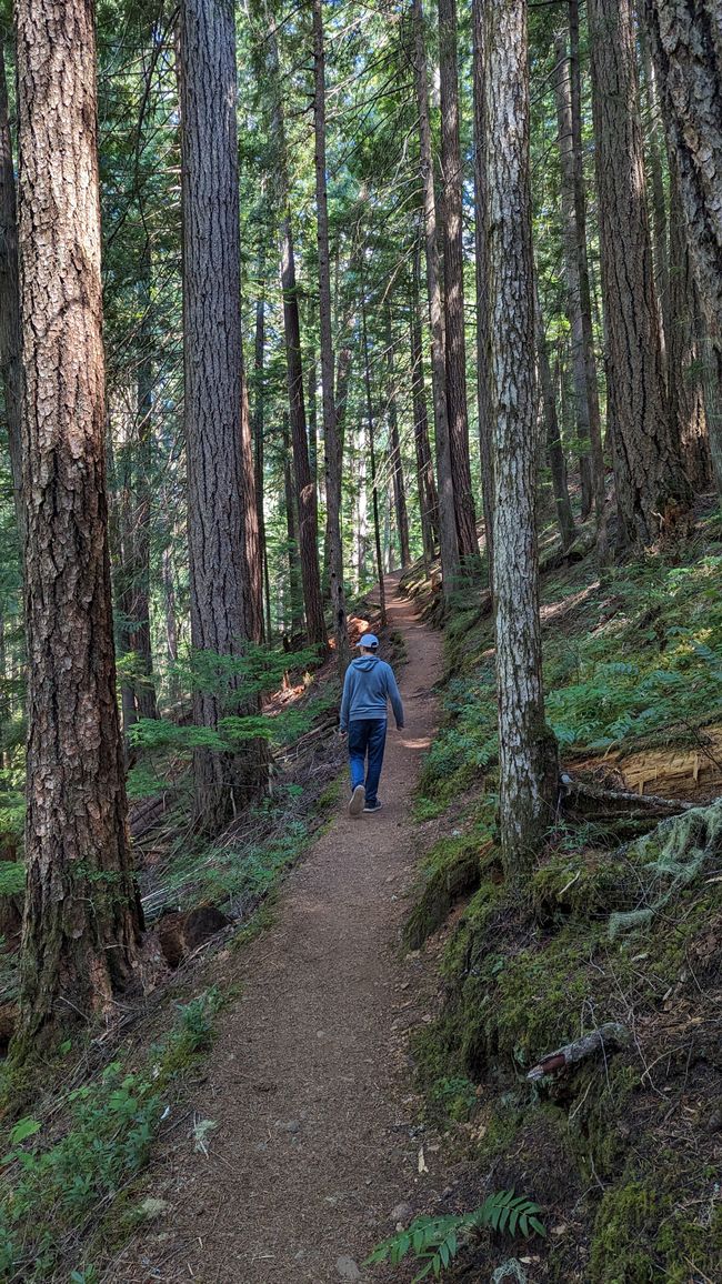 Lupin Falls Trail