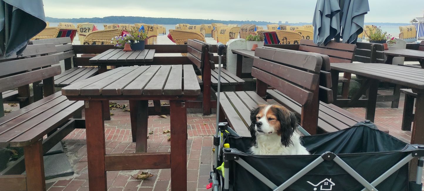 Laboe - un hermoso descanso después de una cita con el cliente