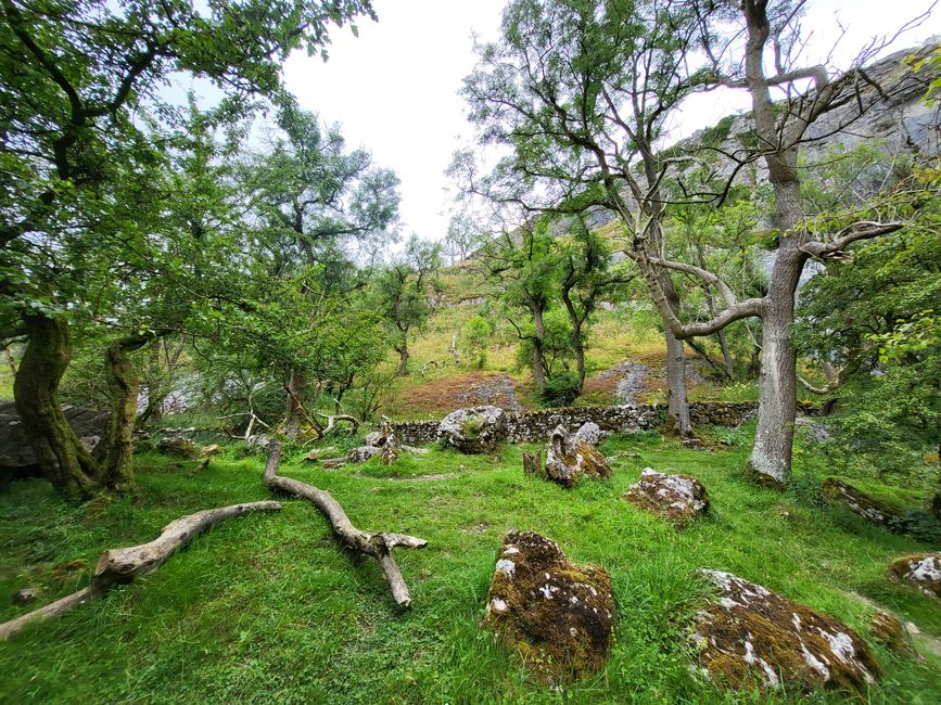 Hike to Malham Cove