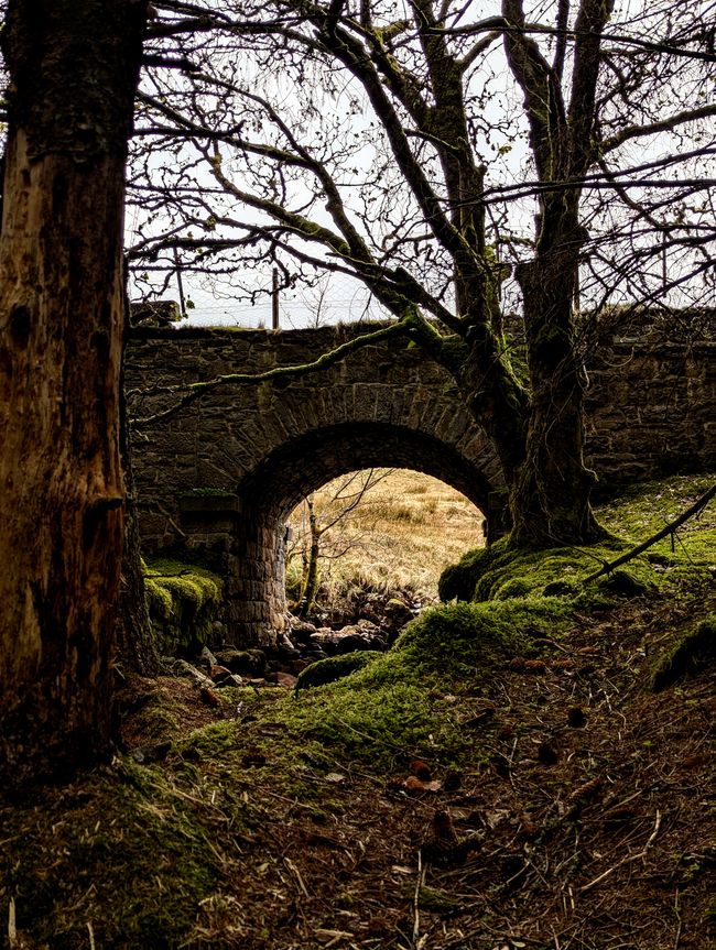 Magische Brücke