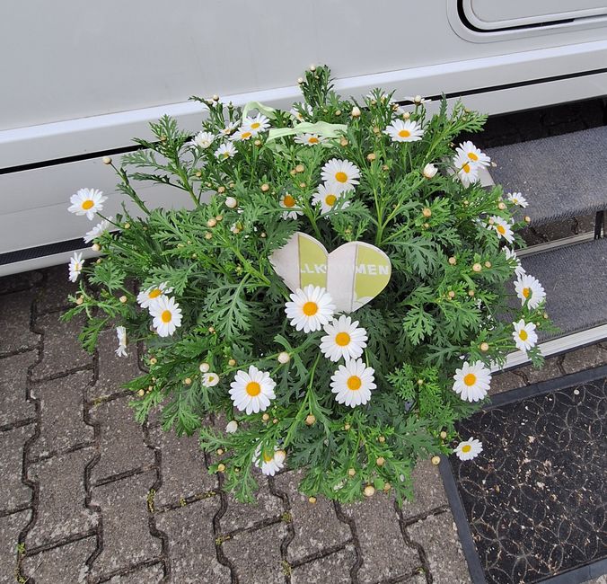 Reisetag
