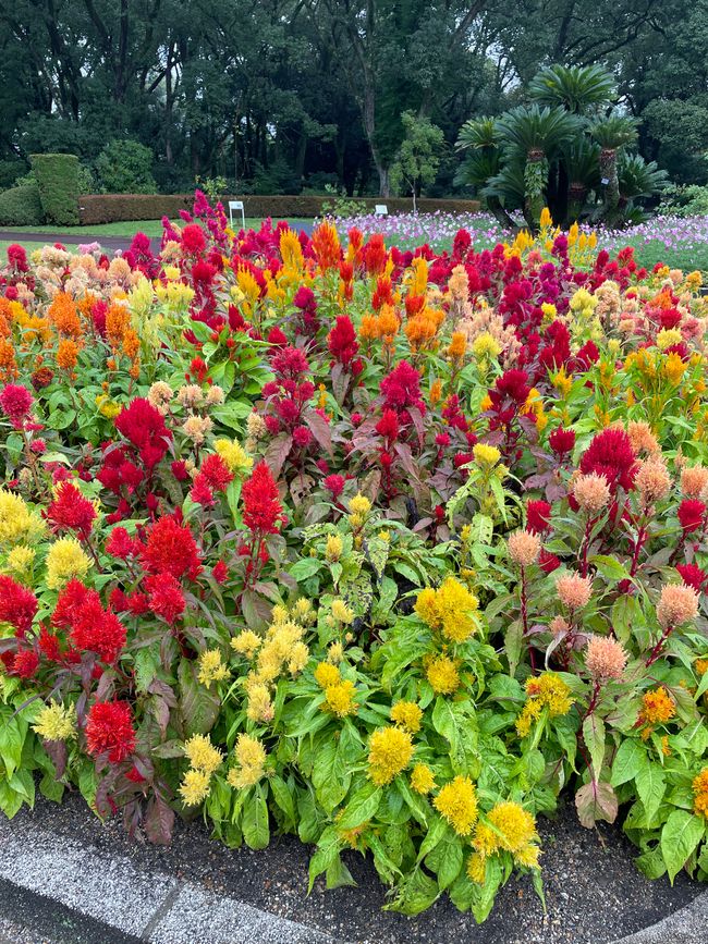 Kyoto Botanical Garden