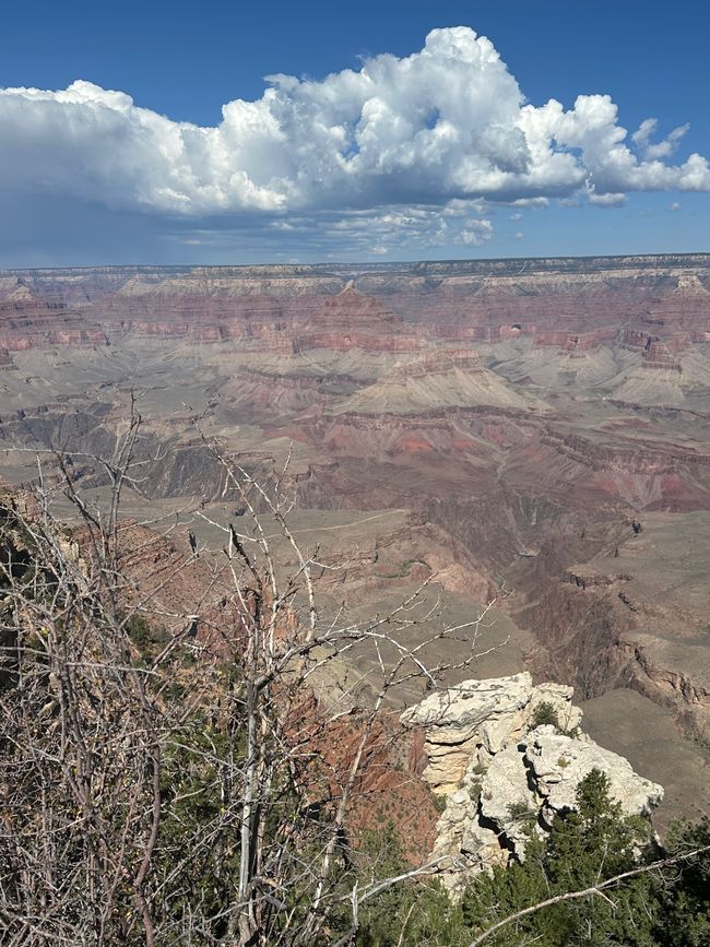 Lago Powell/ Horse Shoe/ Gran Cañón