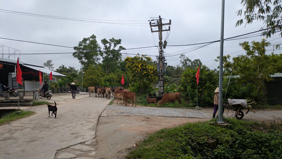 De Von Hue a Hoi An