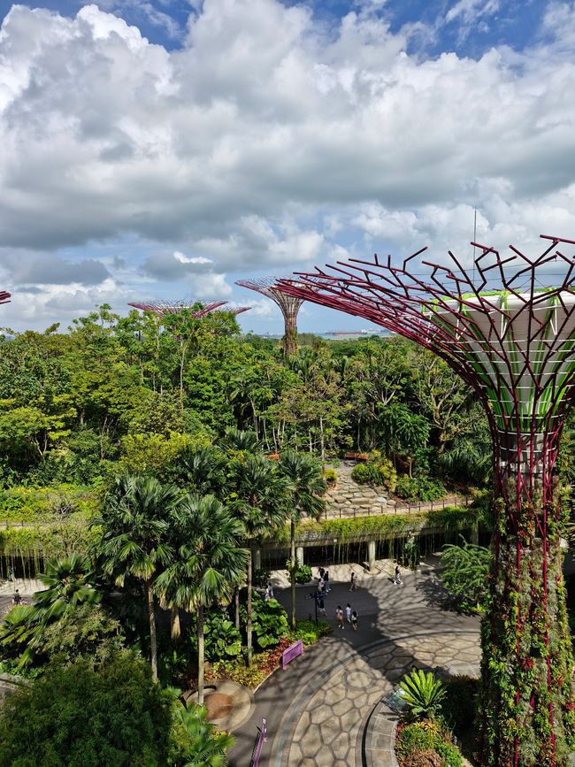 Aussicht vo mTreetop Walk