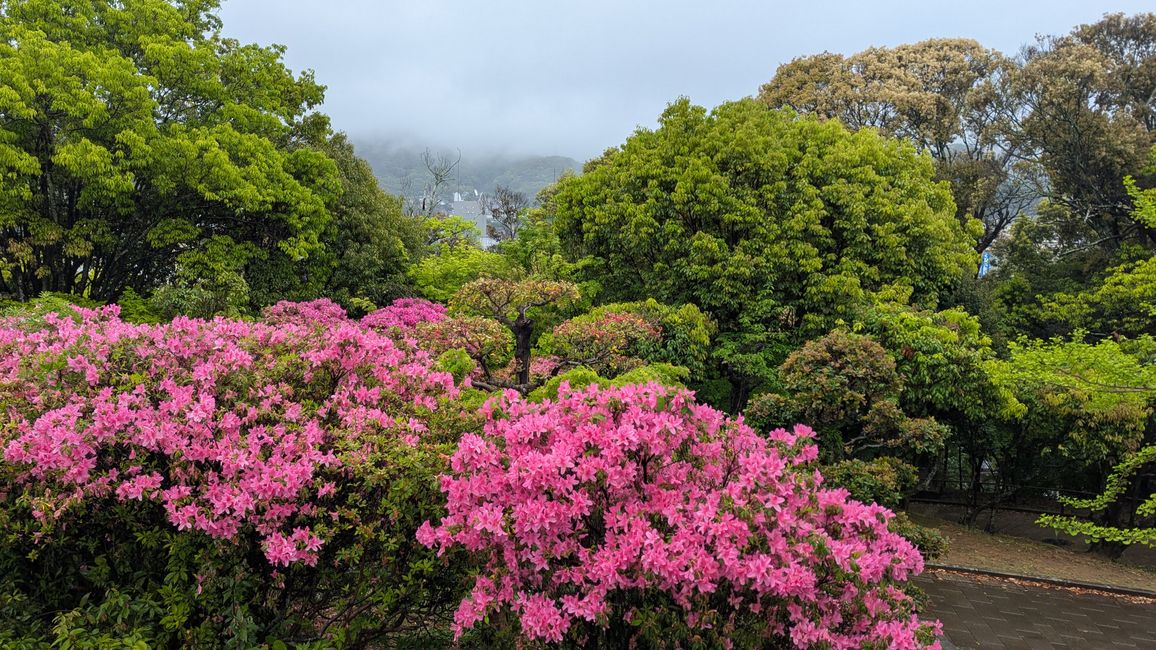 Desafortunadamente, nos despedimos 😢 de Japón, última parada Nagasaki