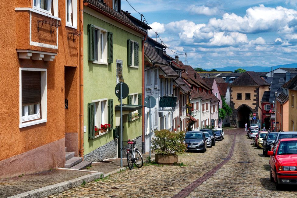 Münsterbergstrasse