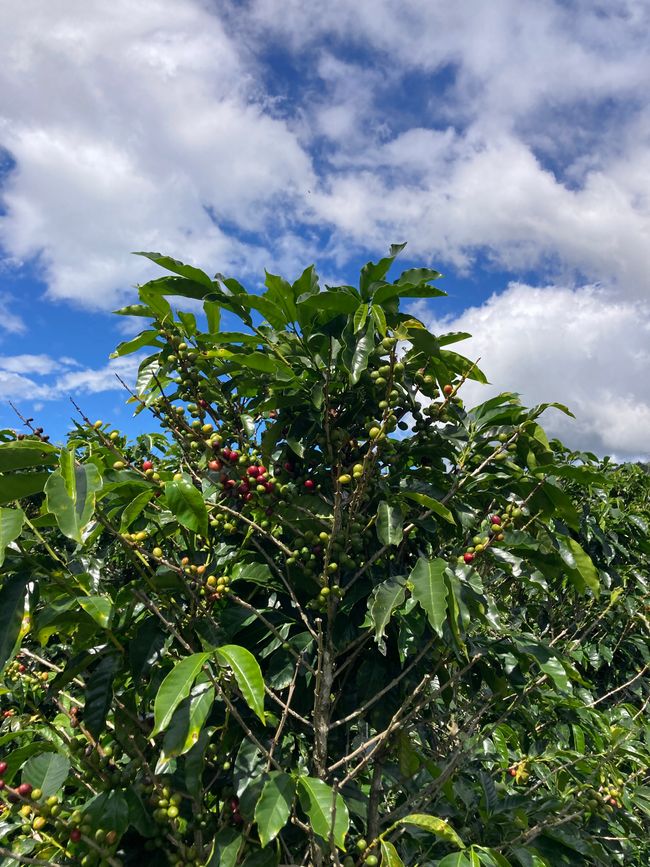 Viel Aufregendes und Schönes erlebt