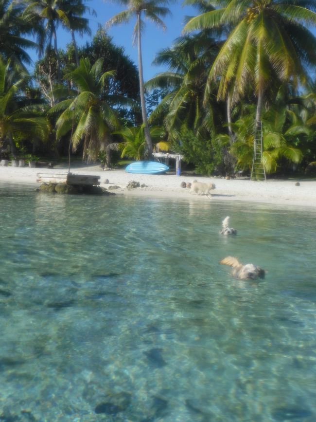 2025-04-30 Raiatea and Taha'a