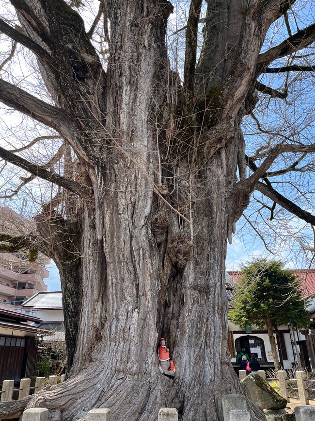 Takayama-Montag-07.04.25