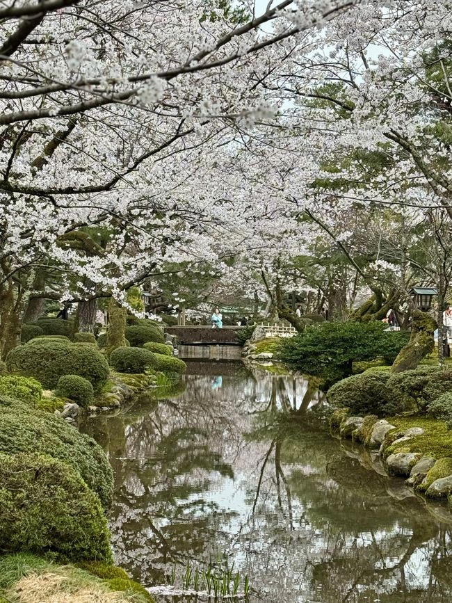 Part 8 Japan 🇯🇵 Kanazawa