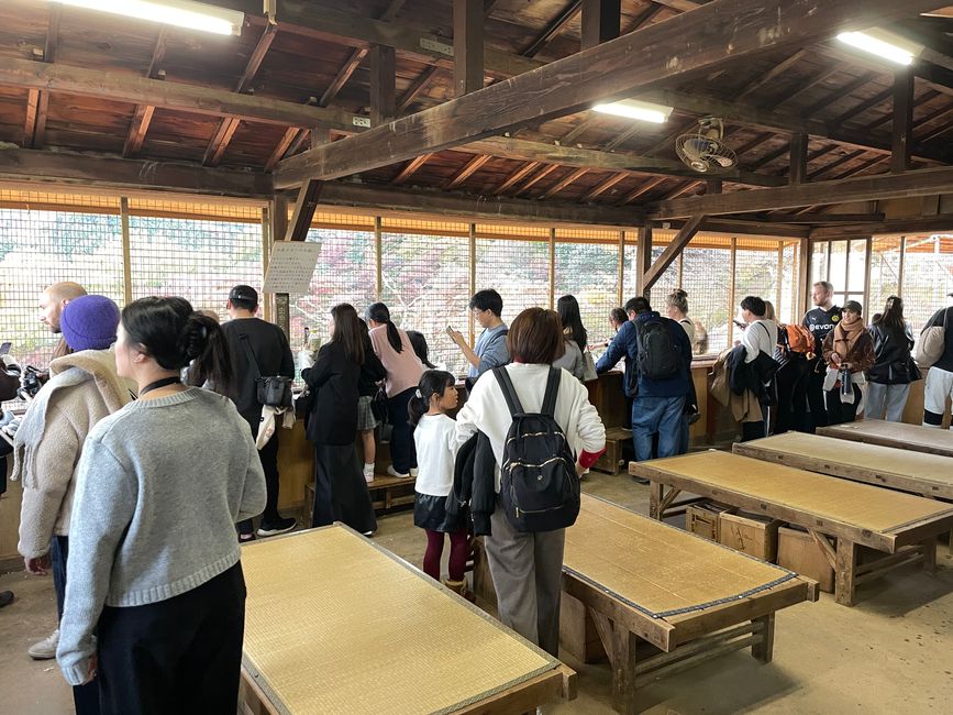 23.Kapitel: Arashiyama oder ein Tag von vorne bis hinten gelungen