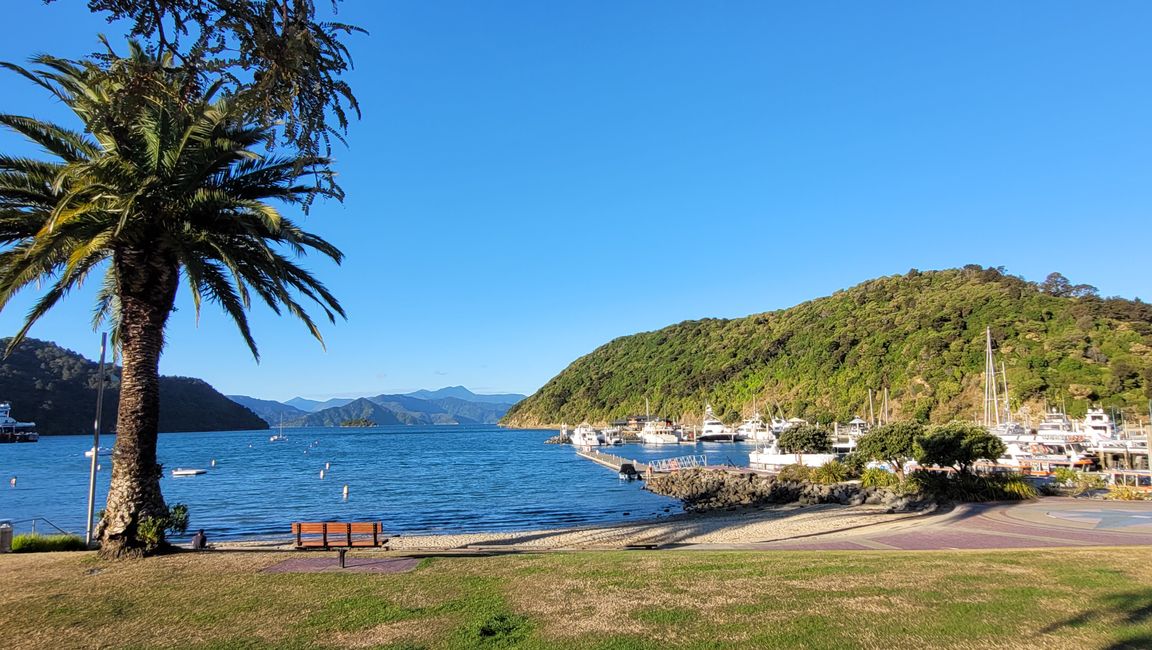 29.Januar-27.Februar 2025 Neuseeland
16.Februar