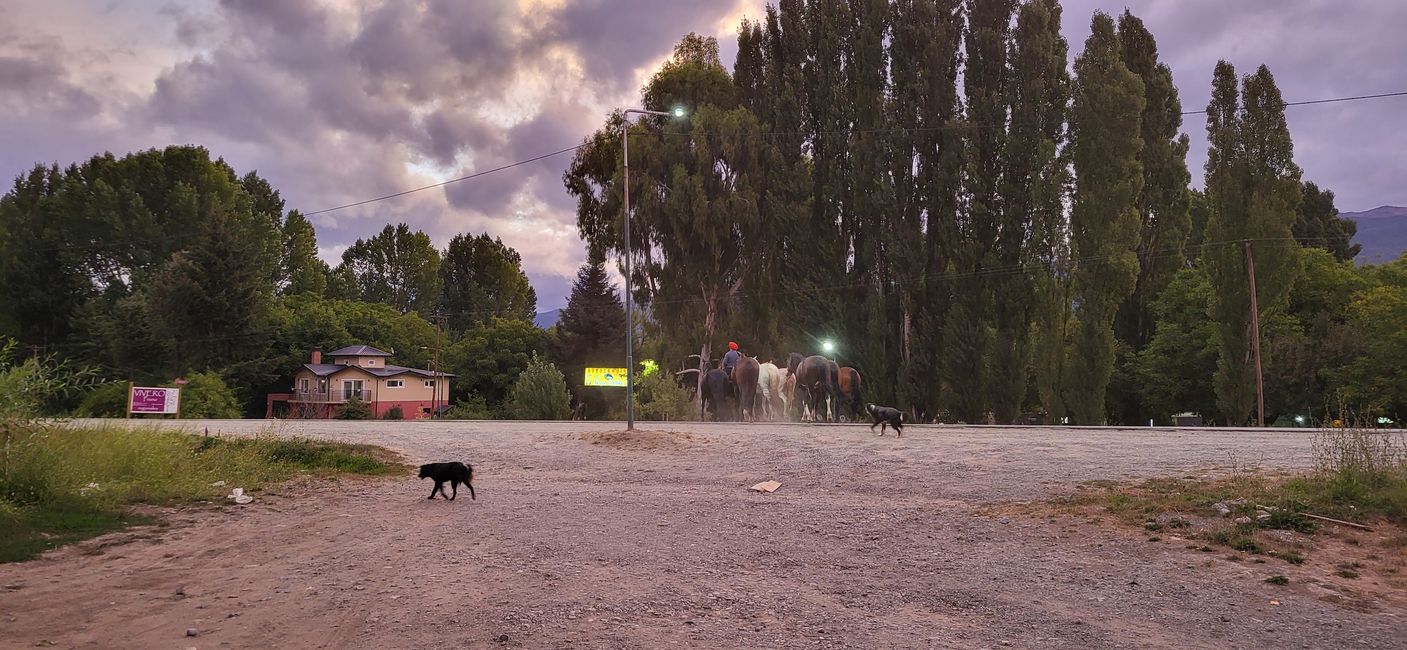 Weiter gen Norden...