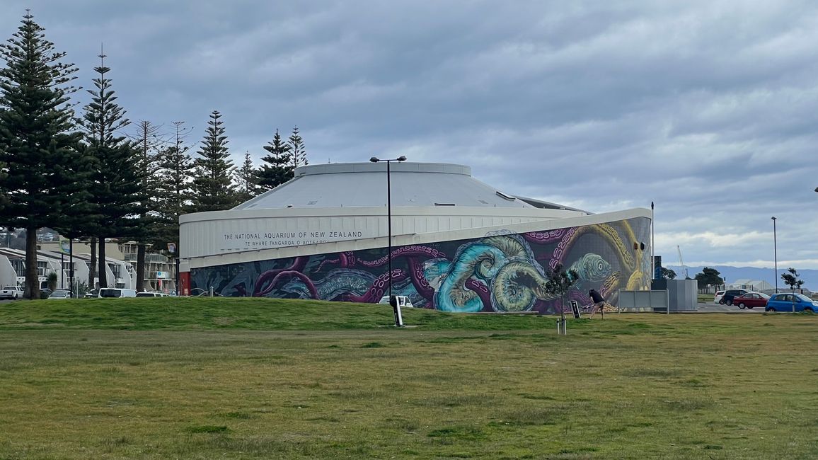 National Aquarium of NewZealand