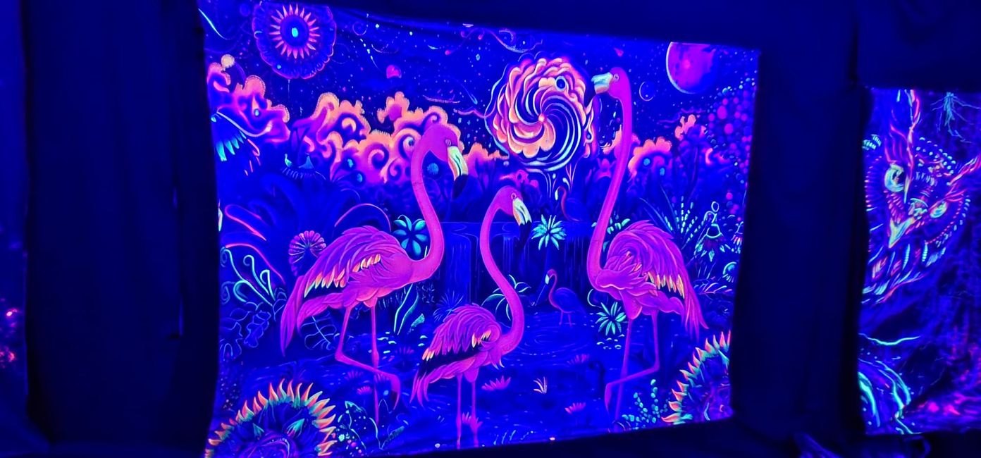 Giardino di Natale allo Zoo di Hannover
