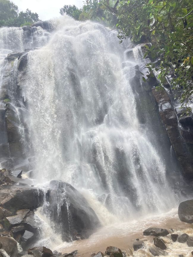 En las Montañas Usambara