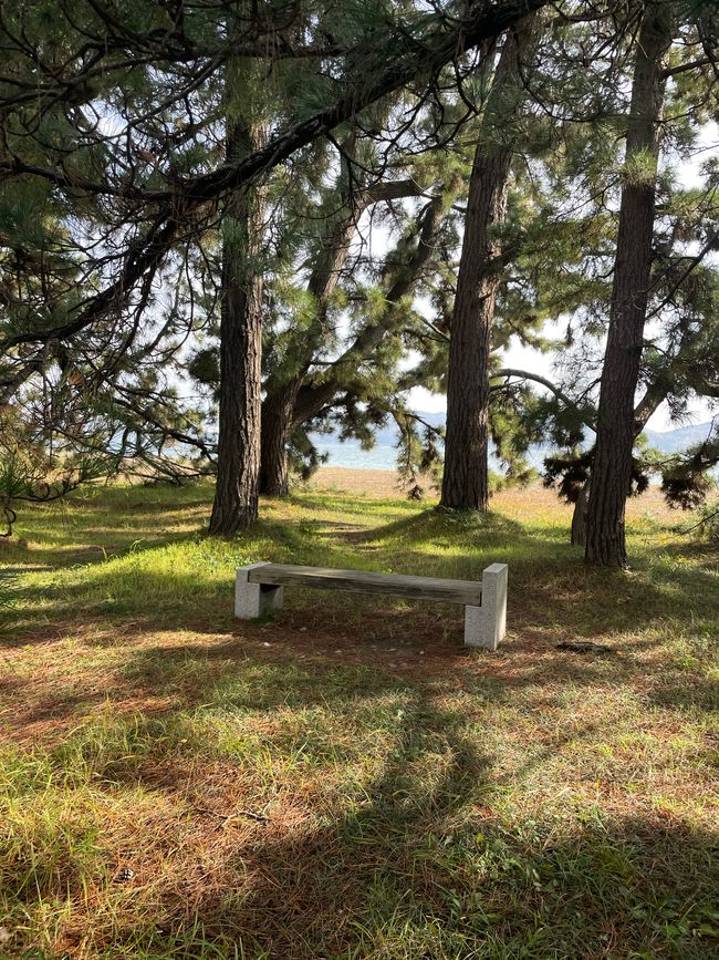 26. Kapitel: 
Frühstücksbuffet und Amanohashidate-Landzunge: Beide atemberaubend