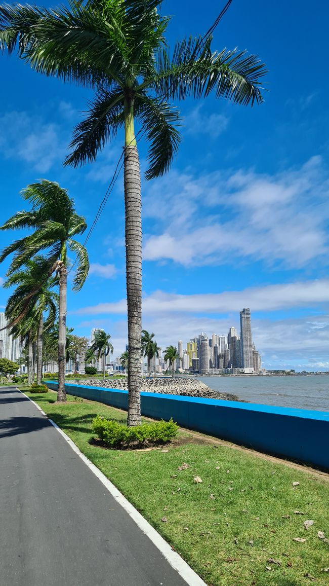 "Oh how beautiful Panama is"🐯🐻