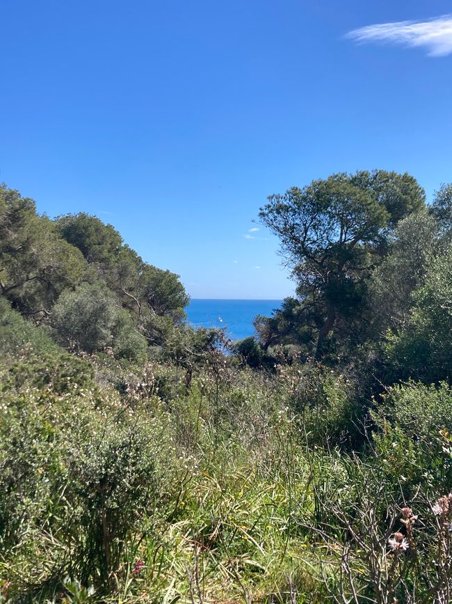 Cala Mondrago-es wird angebadet