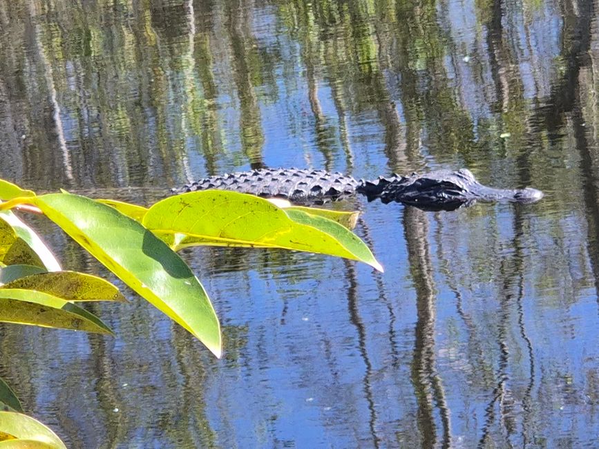 Dag 14: Naar Florida City