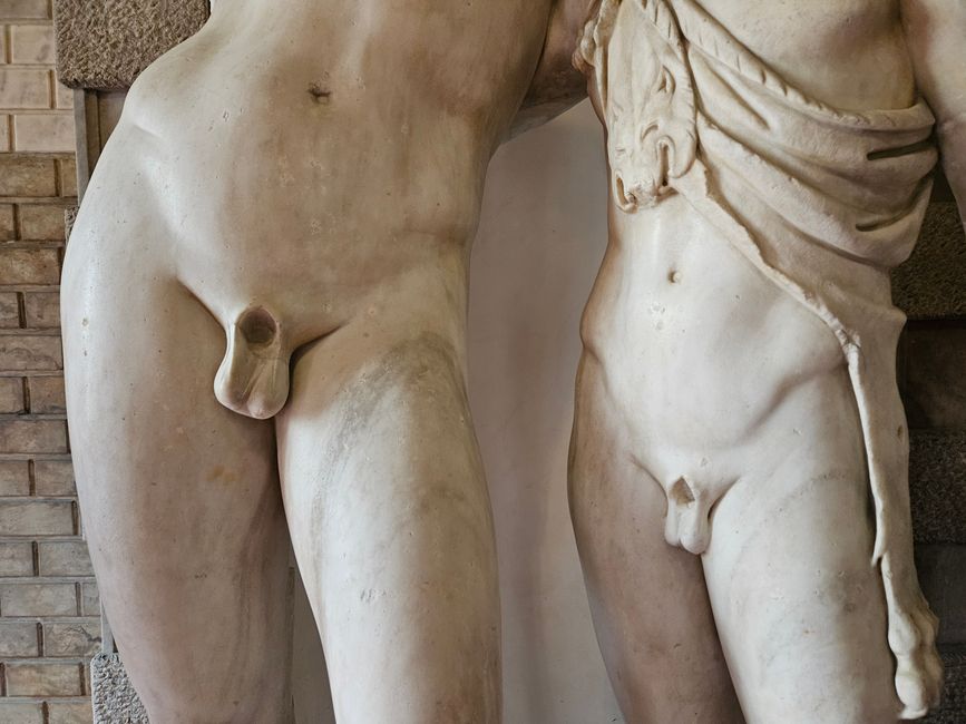 Palazzo Grimani (Museo di Palazzo Grimani)