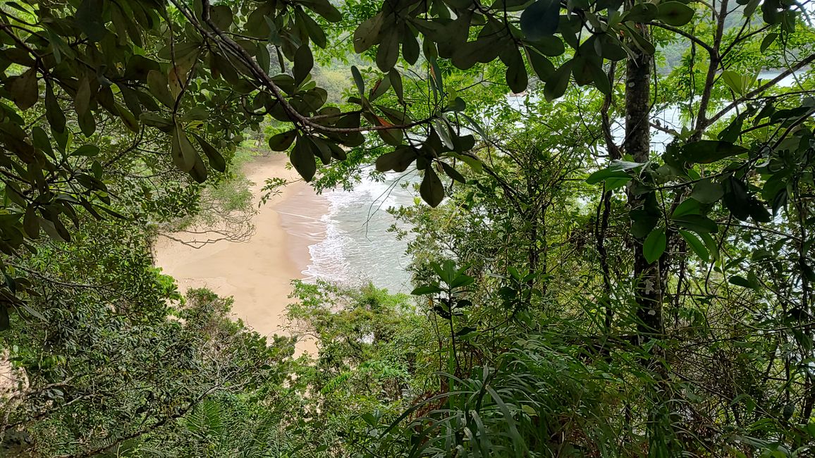 Brasil, Fortaleza Sendero del Bosque Tropical