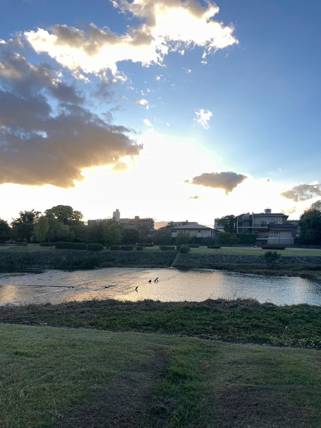 2.Kapitel: Nix Jetlag, oder „A temple a day keeps the doctor away“, man kann sich aber auch auf den Philosophenpfad begeben