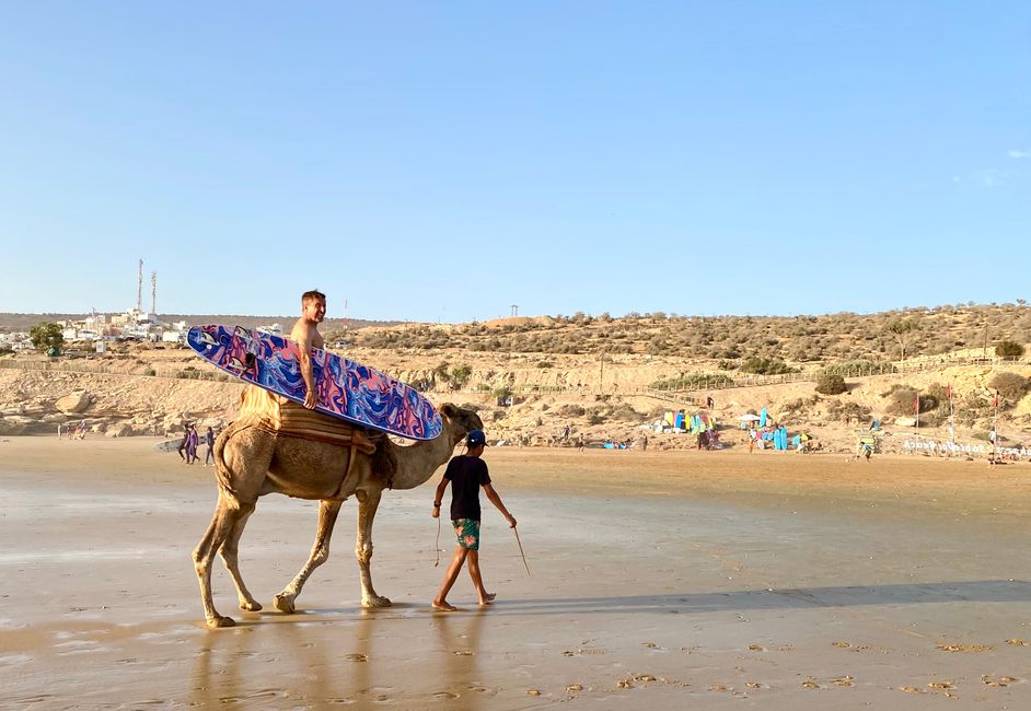 Dieses Bild schwebte mir schon länger vor - 50 DH machen es möglich!