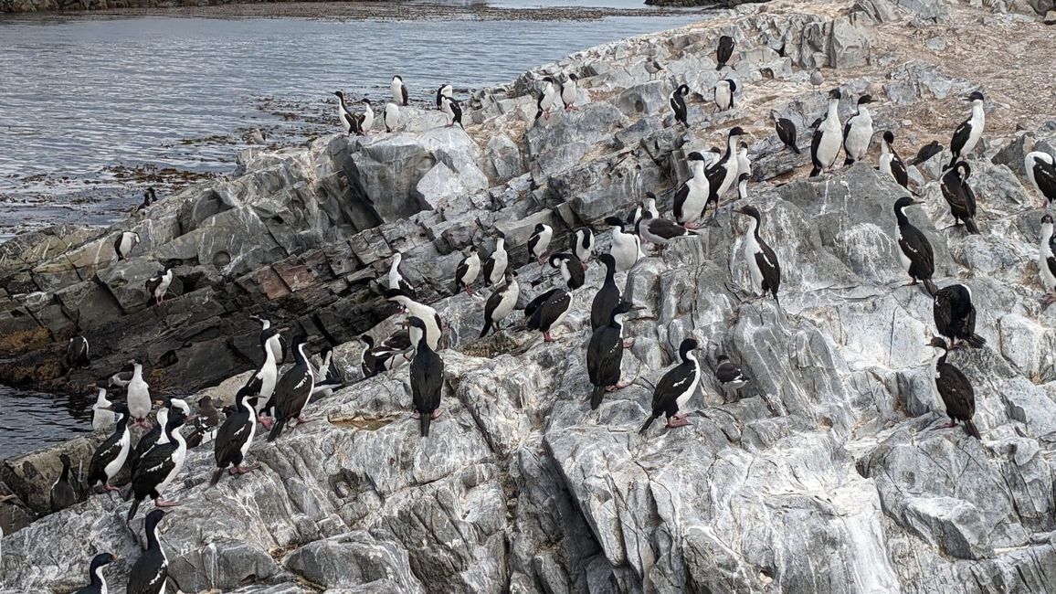 Beagle Channel Navigation mit Patagonia Adventure Explorer